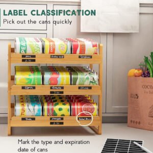 Bamboo Can Organizer